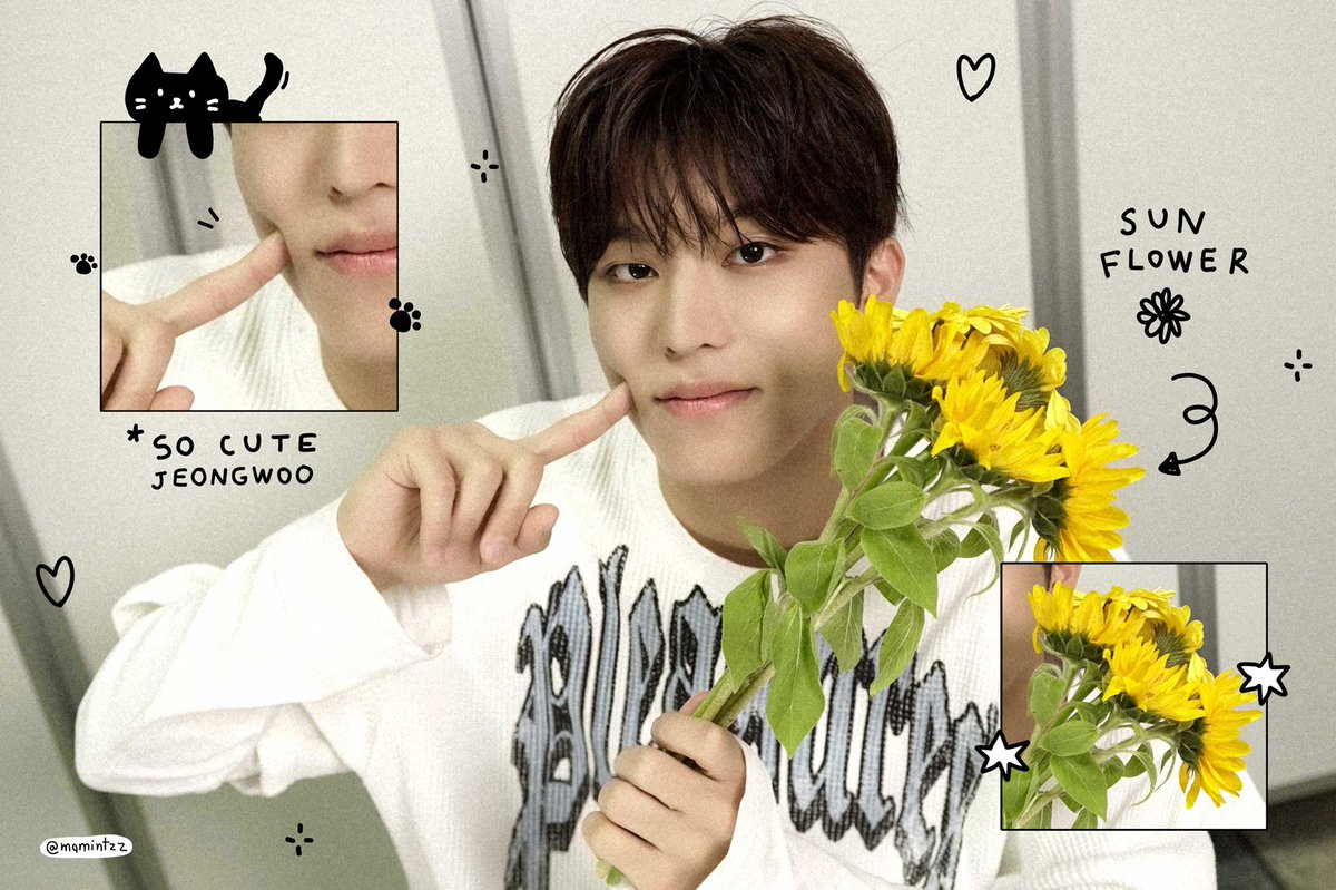 my sunflower 🌻