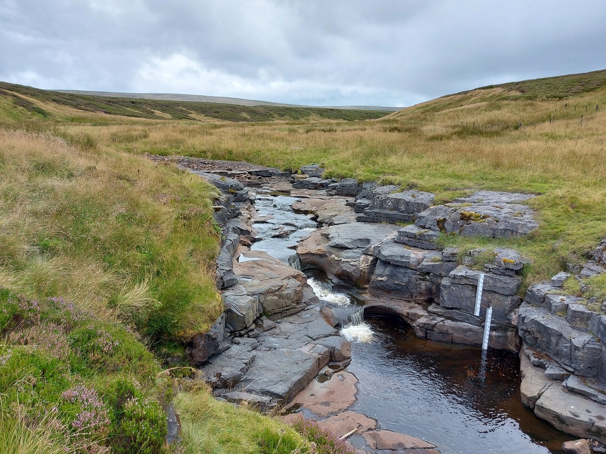 *New #OA Paper* 

Erosion dynamics in carbonate bedrock channels inhibit weathering processes  

How does dissolution impact rock erodibility throughout river cross-sections? We explore that question here, just out in ESPL:

onlinelibrary.wiley.com/doi/full/10.10…