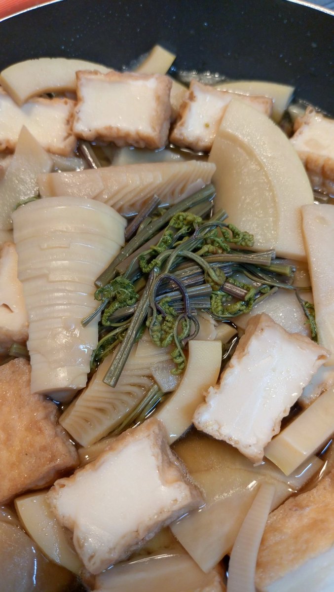 山で採ってきたわらびと筍の煮物。
タラの芽やわらびやこごみや筍が山で採れるから食費が浮いて助かる。