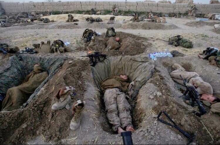 mgdavidfstewart's tweet image. Take a peak at what America's finest endure to guarantee our freedoms!
So put in your help and help in anyway you can! your little effort matters a lot! ❤️