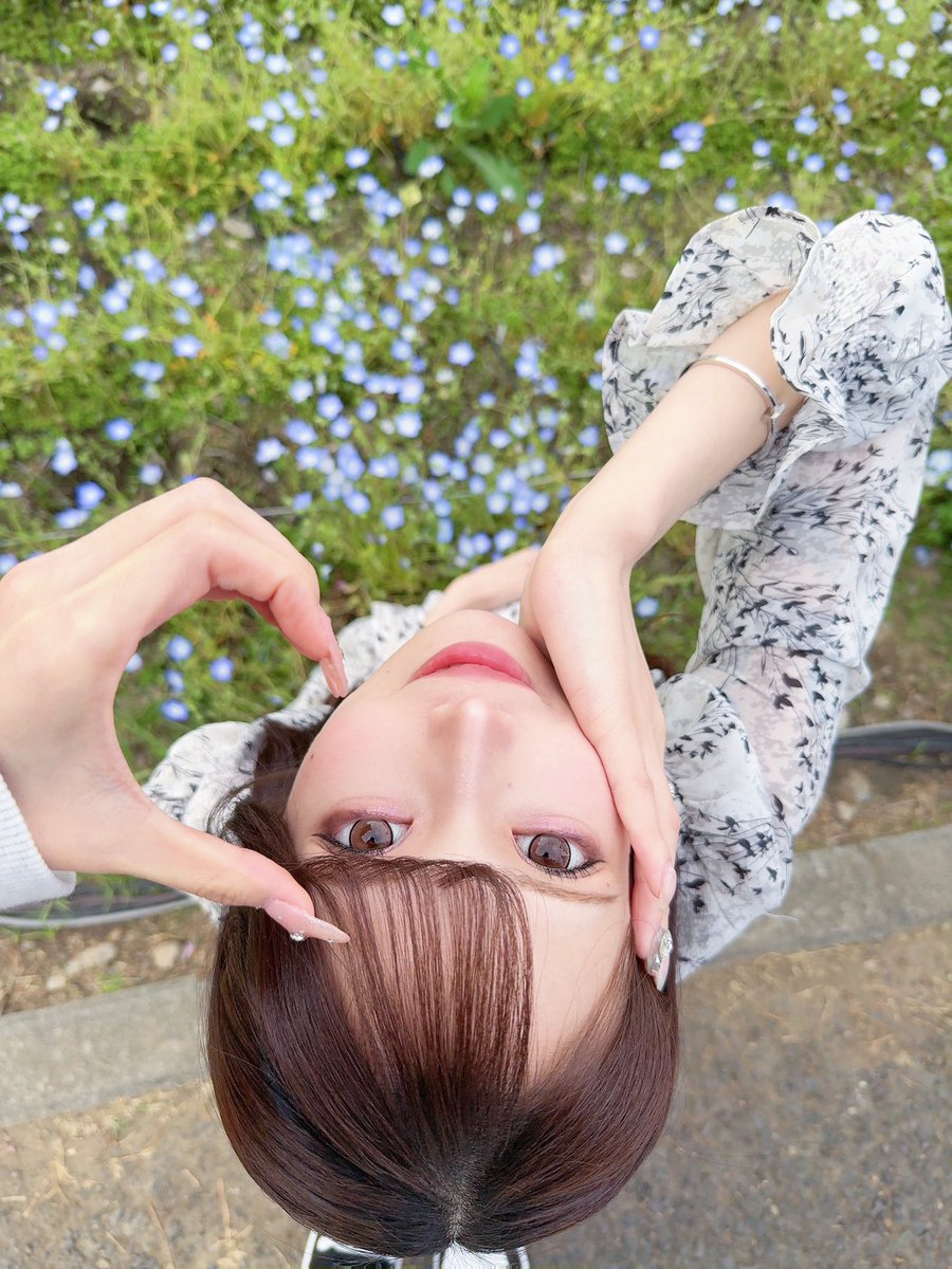 ___sicos's tweet photo. ネモフィラ🩵 https://t.co/he4M8LDDbN