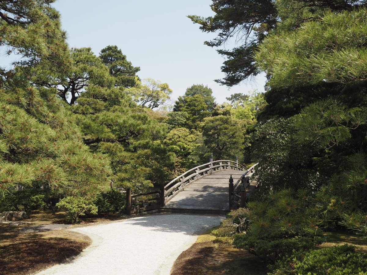 __4_89's tweet image. 京都