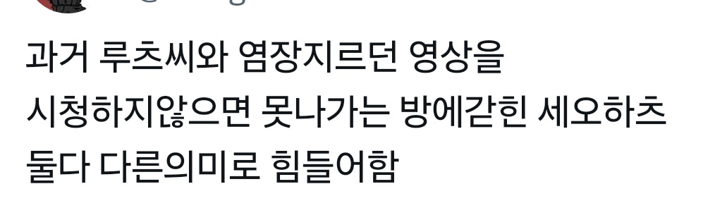 삿갓 tweet media