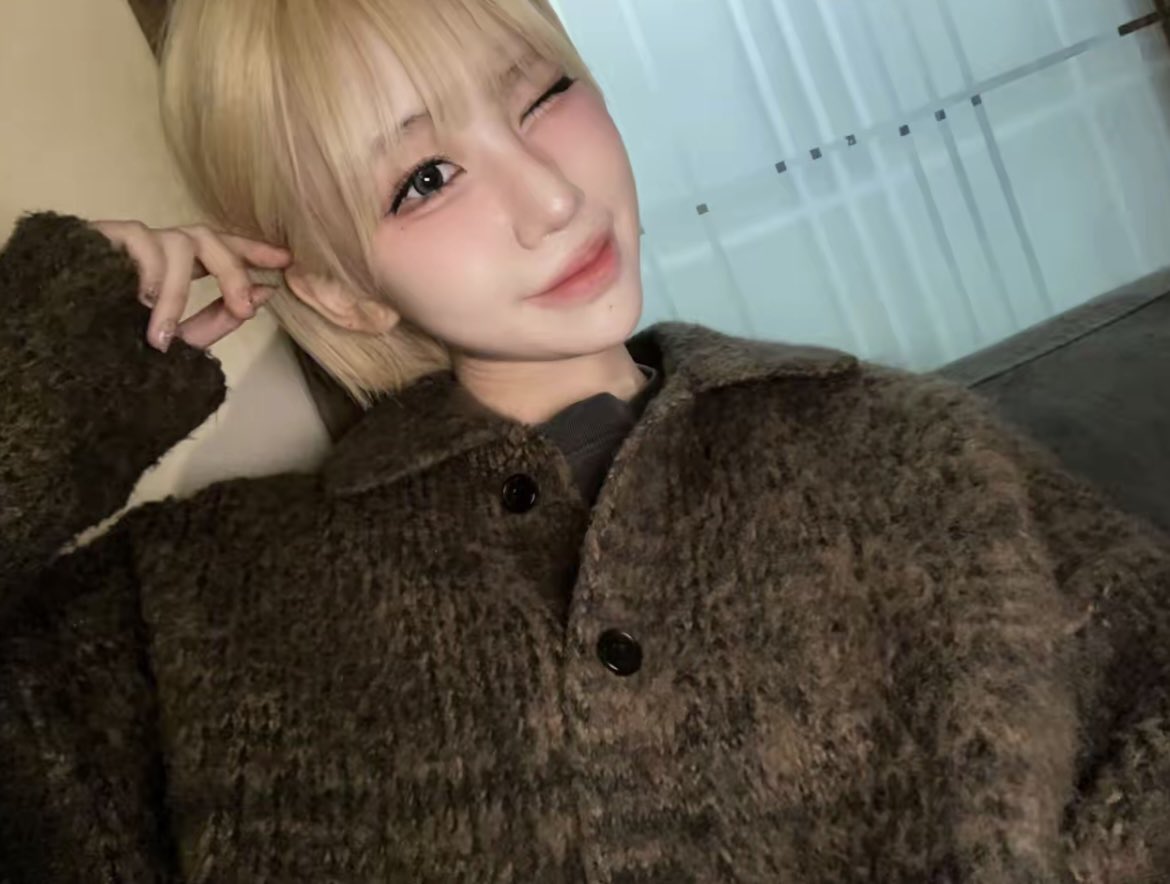 Lapillus Vietnam tweet media