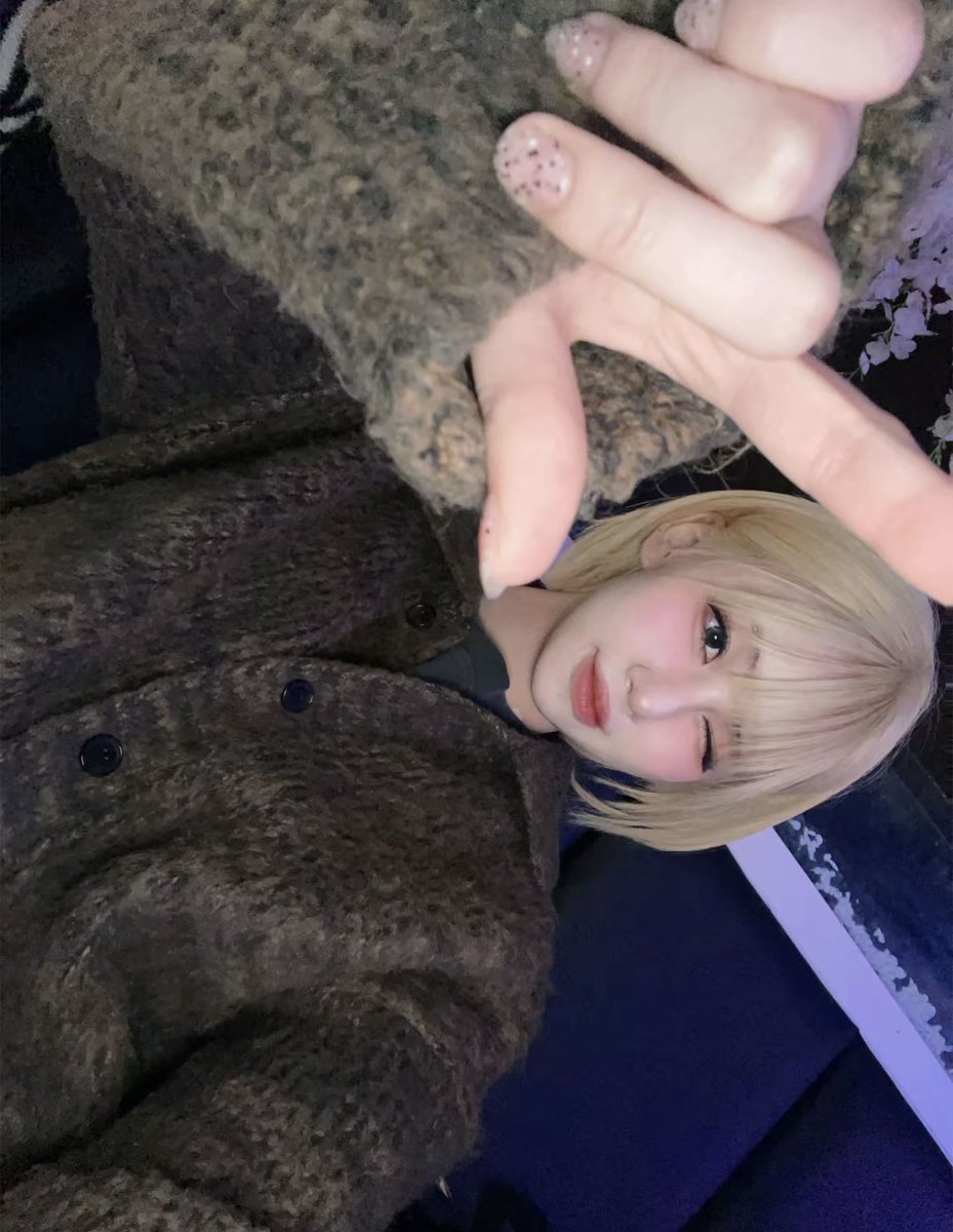 Lapillus Vietnam tweet media