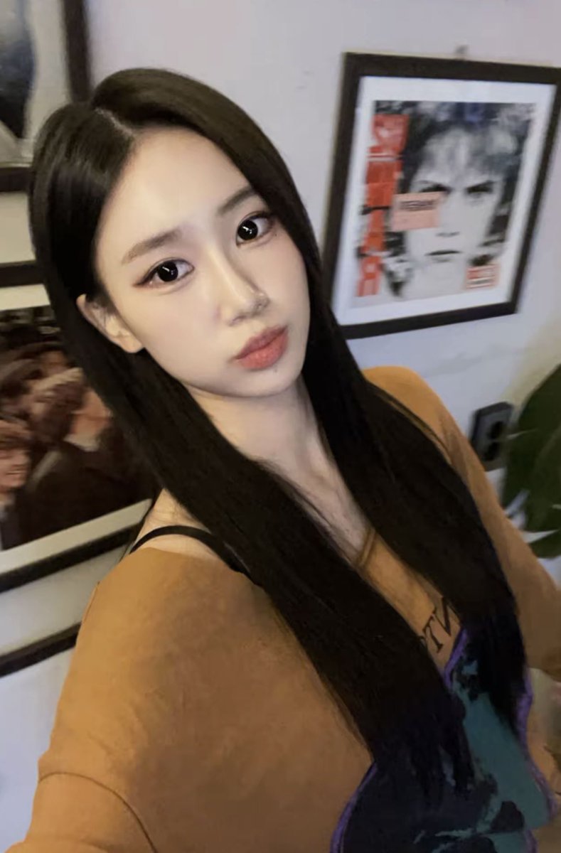 Lapillus Vietnam tweet media