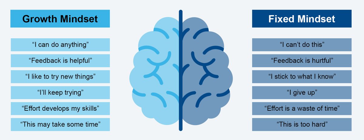 Did you know that your mindset determines how you choose to navigate new #learning opportunities?

Read our latest article to understand what the difference is between a #growthmindset and a #fixedmindset, and how this supports your learning experience 💡

loom.ly/xWGU5xY