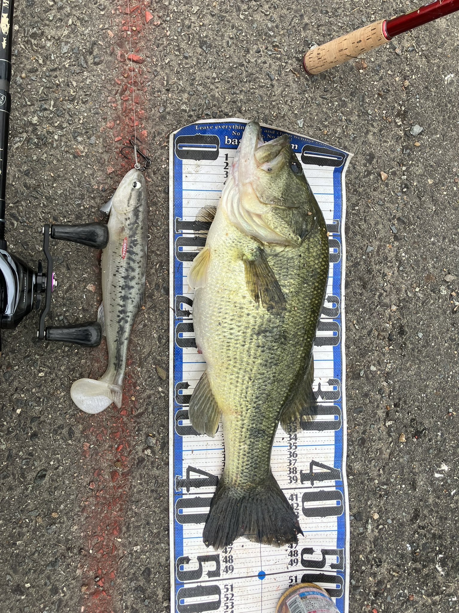 カープヘッド f-lunker_carphead