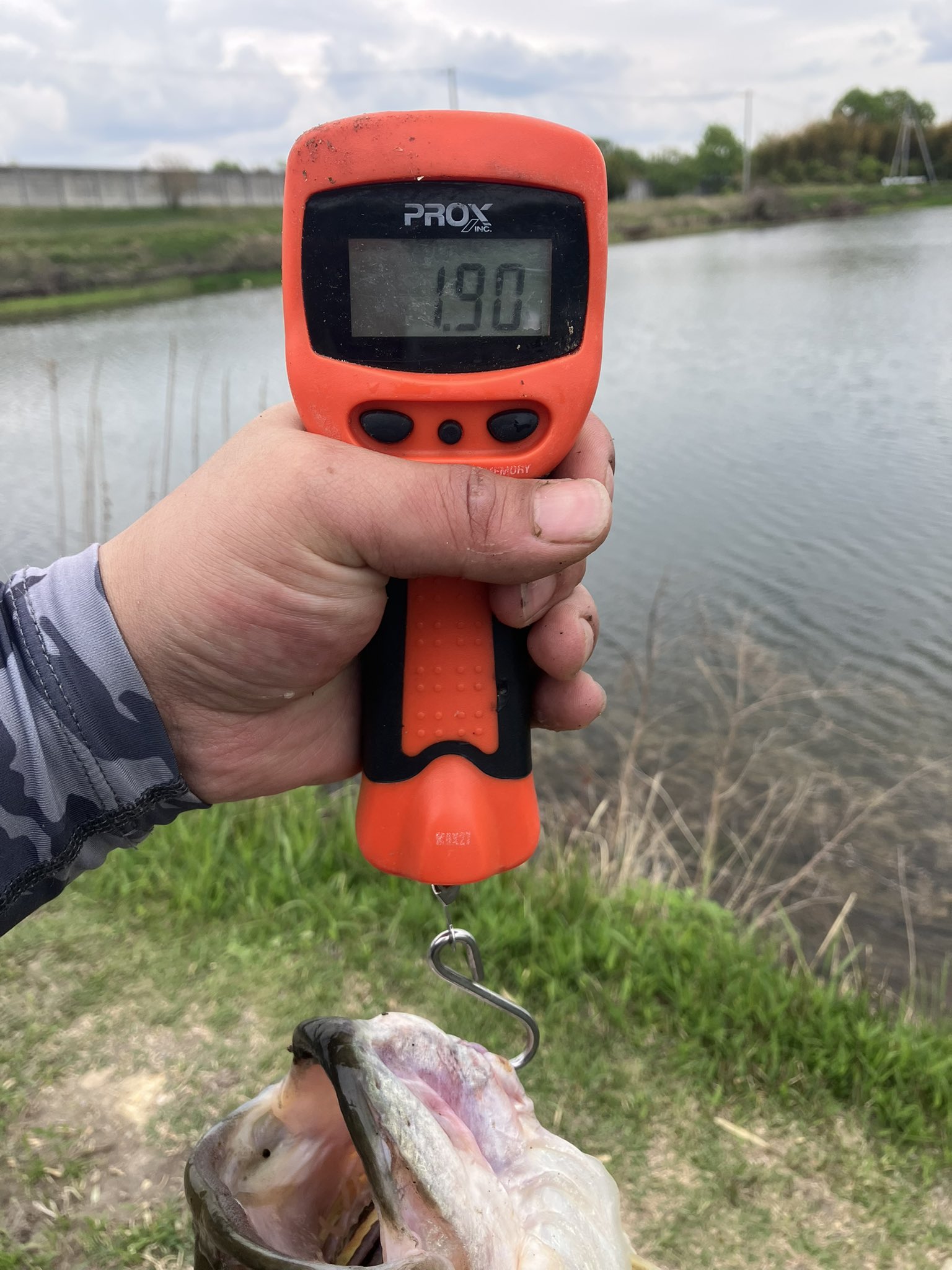 カープヘッド f-lunker_carphead