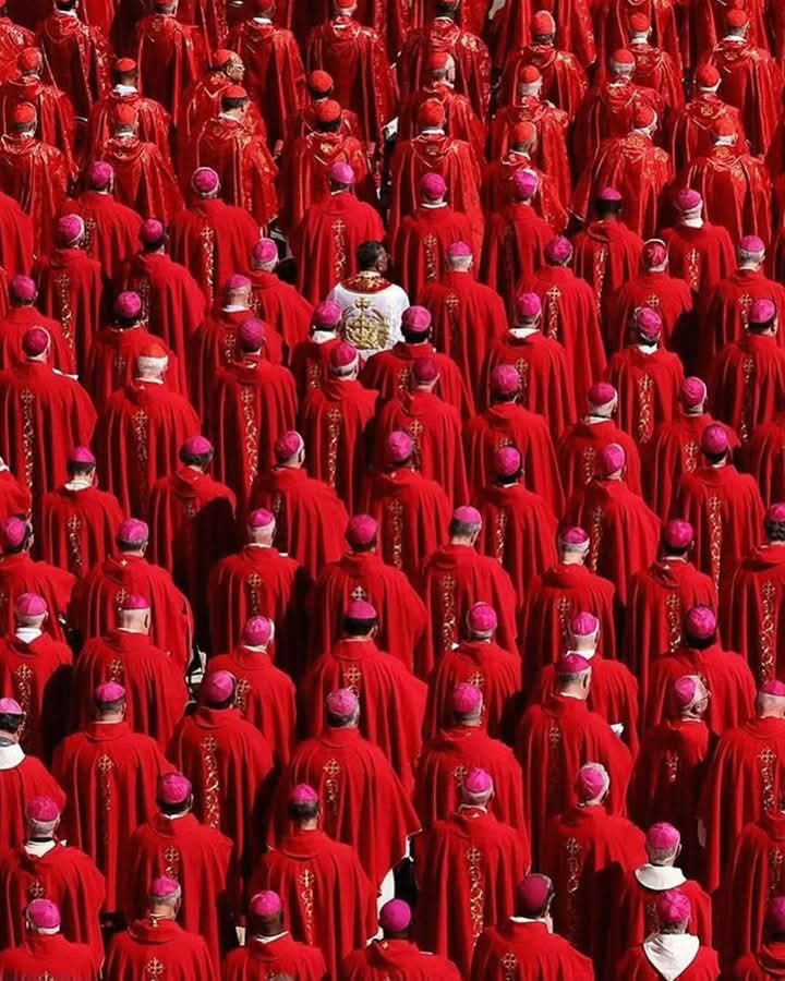 ComrTerry's tweet photo. The uniqueness of the Catholic Church needs to be studied. https://t.co/u0kjmHeulE