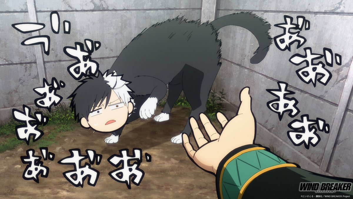 เพิ่งสังเกตว่าในมังงะเปนแมวปกติแต่อนิเมะใส่หน้าไอ้สาเพิ่มมานิ5555555555555555555555555555555