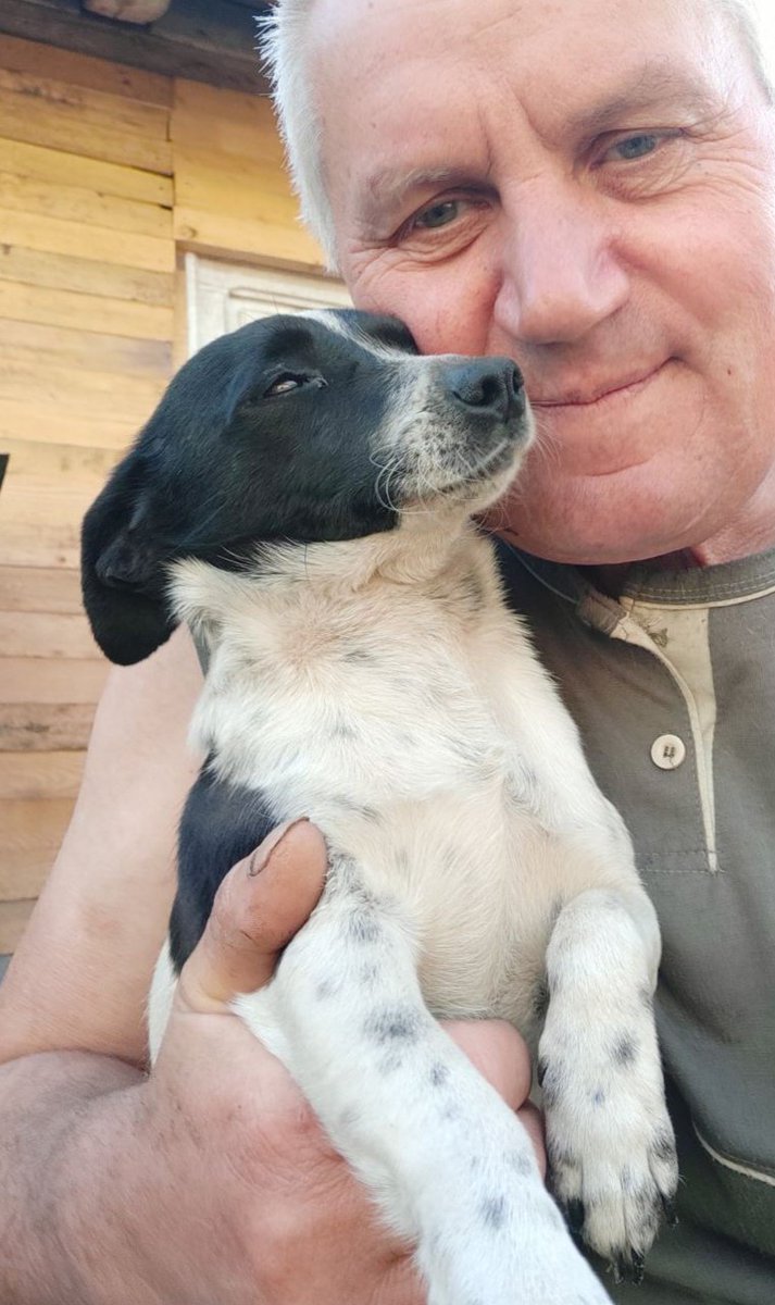 Здравствуйте вам в этот понедельник из наших Дворцов!