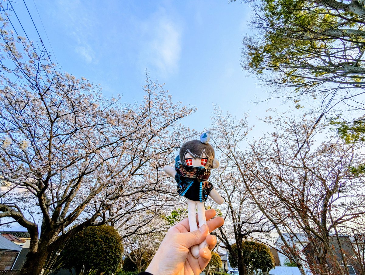 エビ天 tweet media
