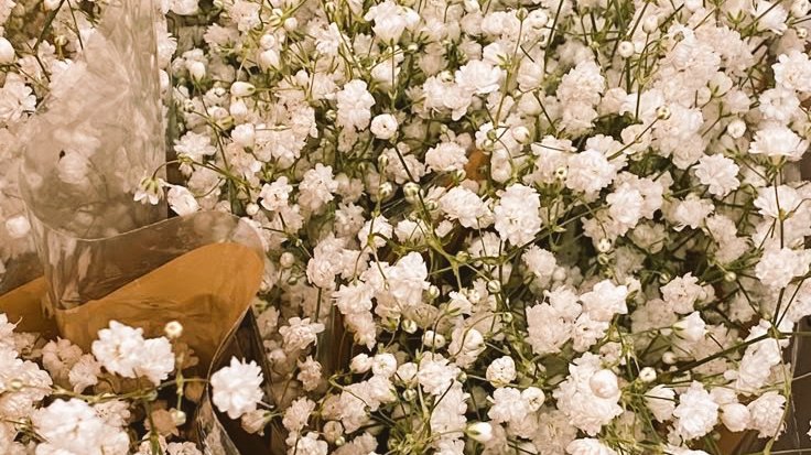 watanabewyou's tweet photo. prettier than the flower petals💐💐 https://t.co/Juw2yEQZEu
