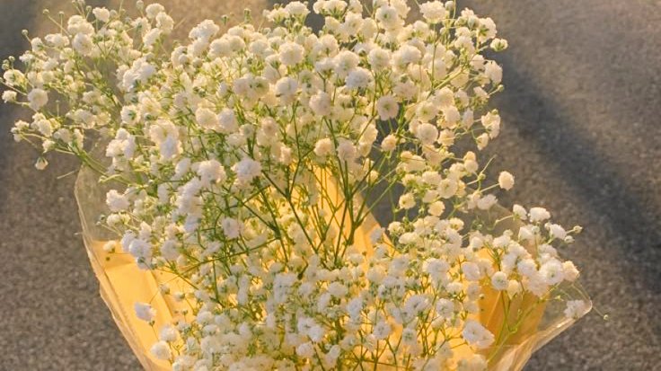 watanabewyou's tweet photo. prettier than the flower petals💐💐 https://t.co/Juw2yEQZEu