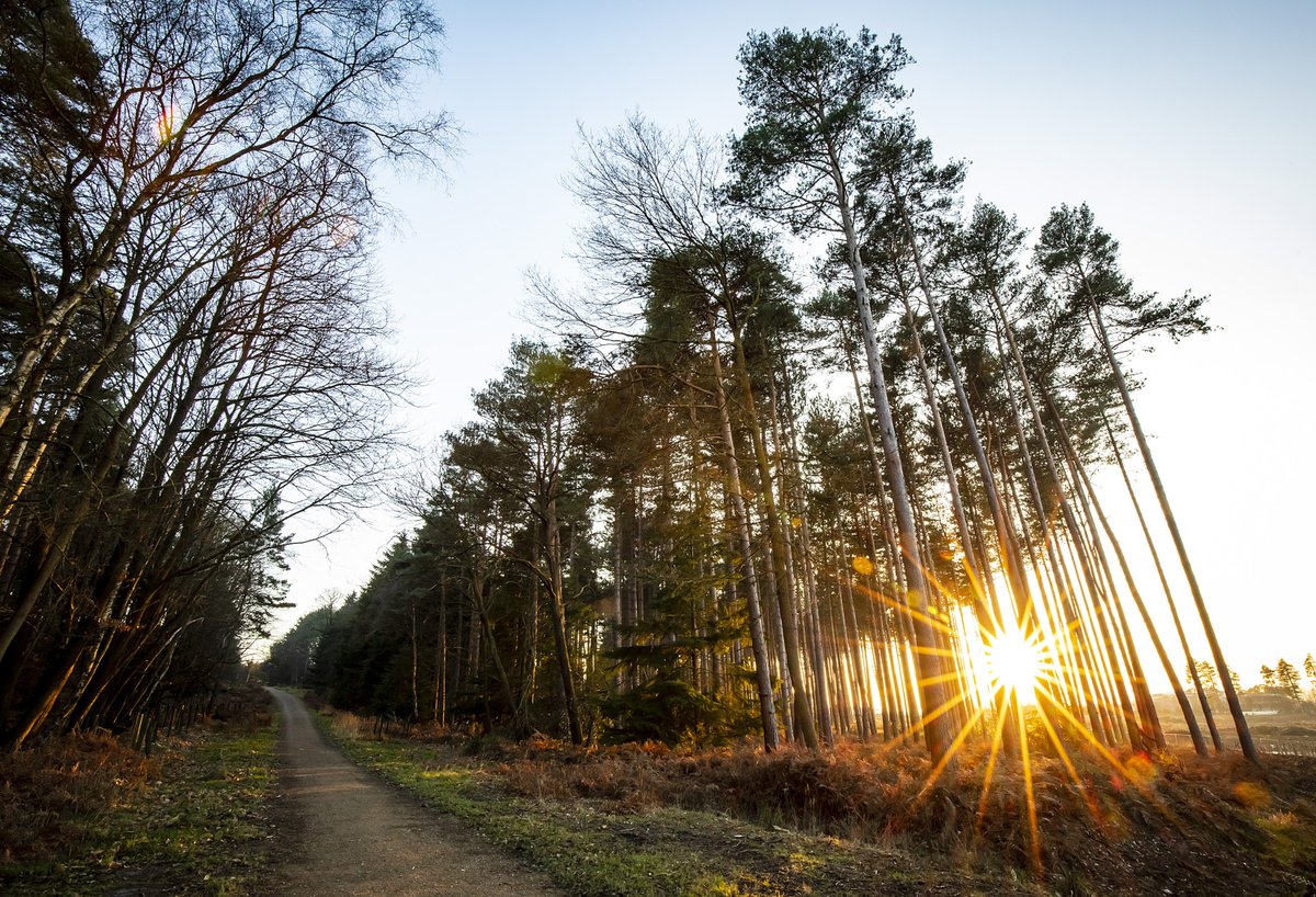 Reminder: Come along to the Buckler's Forest Walk for Wellbeing tomorrow. Get some local insight from one of the Bracknell Forest rangers!

Tuesday, 29 April, 10.30am - meet at Buckler’s Park Community Hub, Goodwood Crescent, RG45 6NB.

<a href="/SustransSouth/">Sustrans South</a>