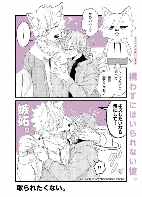 構わずにはいられない彼。 
年下獣人×年上人間 【ぬい】

#創作BL 
#漫画がよめるハッシュタグ 
#構わずにはいられない彼。 
