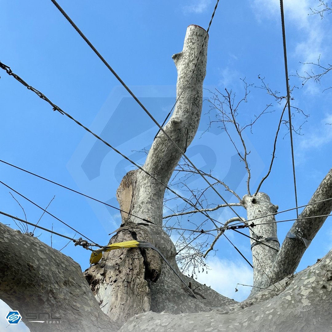 Topkapı Sarayı / 
Topkapi Palace 🏛️

SNLTENSİ 🪢

snltensi.com

#şenolmakina #snltensi #membrangergisistemleri #membranestructuresystems #tensilengineering #çelikhalat #steelwireropes #topkapısarayı #topkapipalace