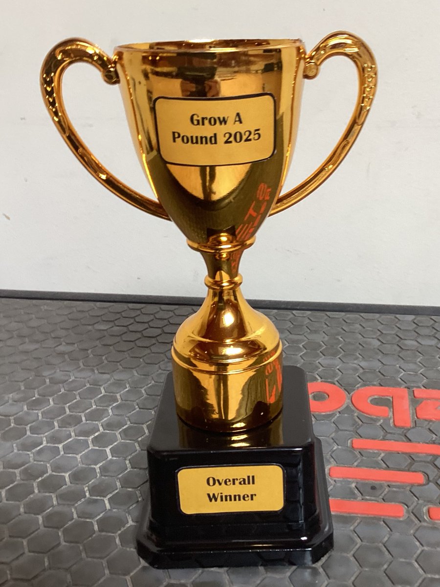After 'Grow a Pound Week', we found out the results of who won awards about this. Some classes won awards for best sales pitch and most creative project. Class 21 won the award for raising most profit. Well done Class 21!