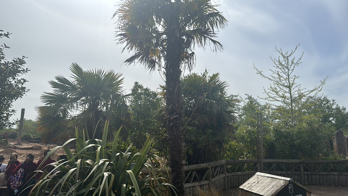 Year 5 have arrived safely at Chester Zoo