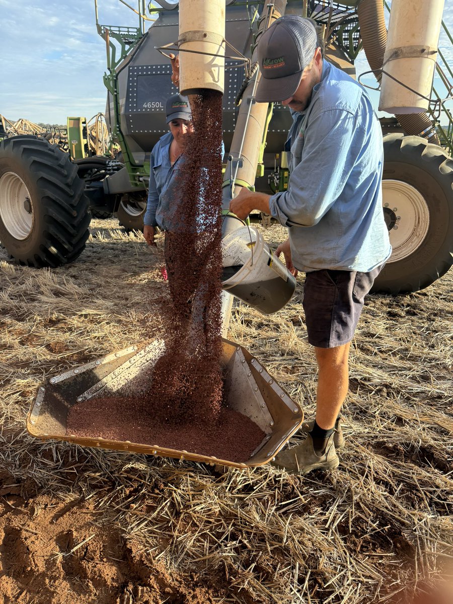 Barry Haskins tweet media