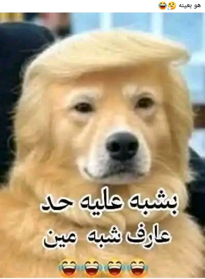هو بعينة وغابوته