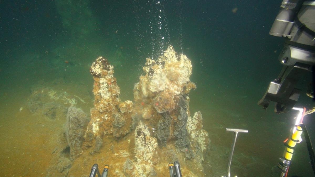 Scientists investigated hydrothermal venting, from seeps that form underwater lakes of carbon dioxide, to bubbly venting at temperatures up to and exceeding 200ºC.

NOC leads expedition to forecast and understand hazards posed by volcanic eruptions 👉 noc.ac.uk/news/scientist…