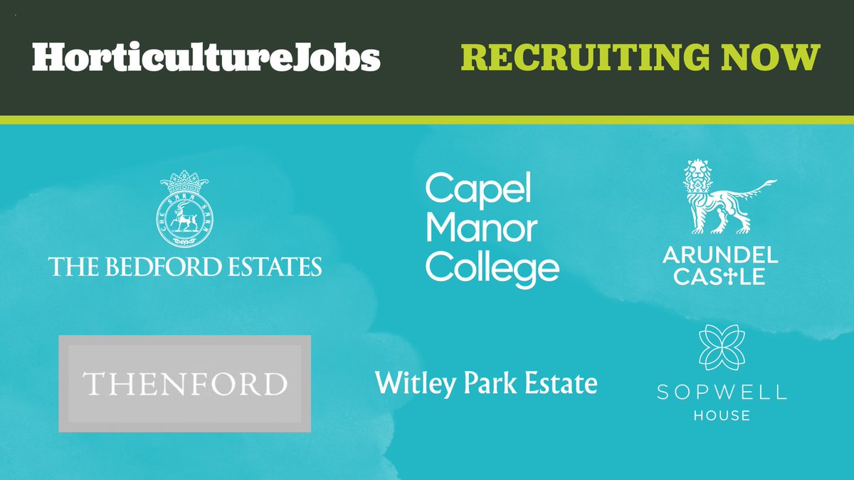 Horticulture Jobs (@hortweekjobs) on Twitter photo Horticulture jobs hiring right now π±
<a href="/capelmanor/">Capel Manor College</a> | <a href="/thenfordgardens/">Thenford Arboretum & Gardens</a> | <a href="/SopwellHouse/">Sopwell House</a> | <a href="/ArundelCastle/">Arundel Castle</a>
π Click here: buff.ly/a9DbZ0J and search for a new job in gardening, landscaping, arboriculture and more! Horticulture jobs hiring right now π±
<a href="/capelmanor/">Capel Manor College</a> | <a href="/thenfordgardens/">Thenford Arboretum & Gardens</a> | <a href="/SopwellHouse/">Sopwell House</a> | <a href="/ArundelCastle/">Arundel Castle</a>
π Click here: buff.ly/a9DbZ0J and search for a new job in gardening, landscaping, arboriculture and more!