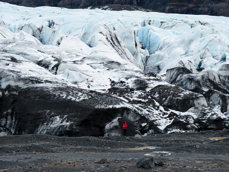 la cosmopolilla tweet media