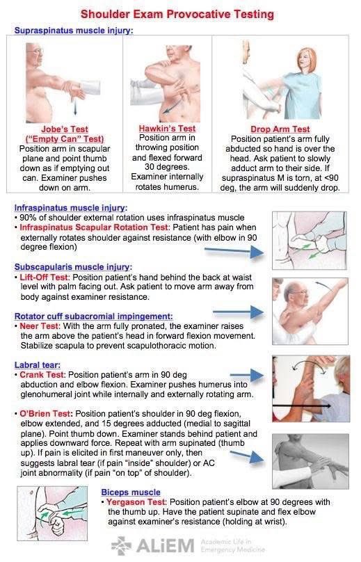 Shoulder exam