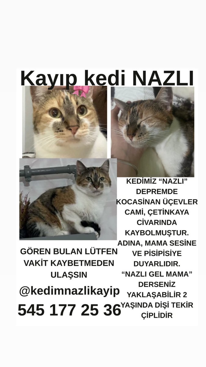 5. gün oldu hala haber yok çok özlüyorum evinde kardeşi ve çocuğu da var onlar da özlüyor lütfen yardım edin