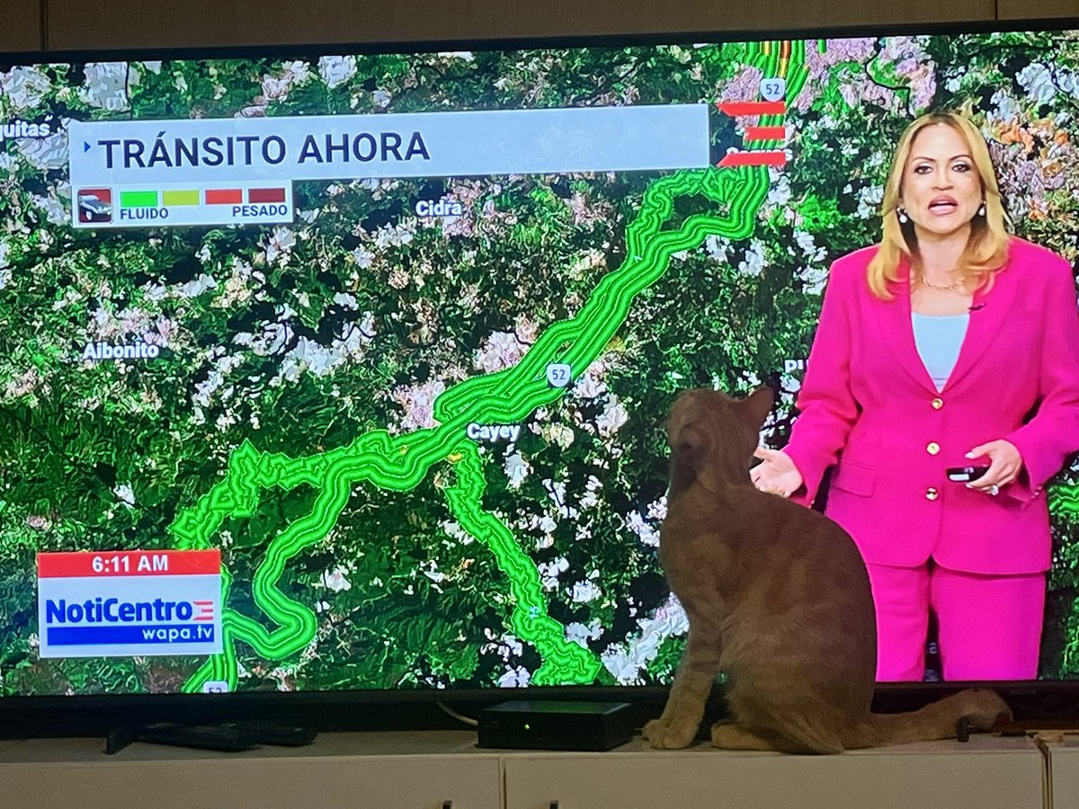 Nano muy pendiente al informe del tránsito de <a href="/aixavaz/">Aixa Vázquez Camacho</a> por <a href="/NoticentroWAPA/">NotiCentro</a> al Amanecer!