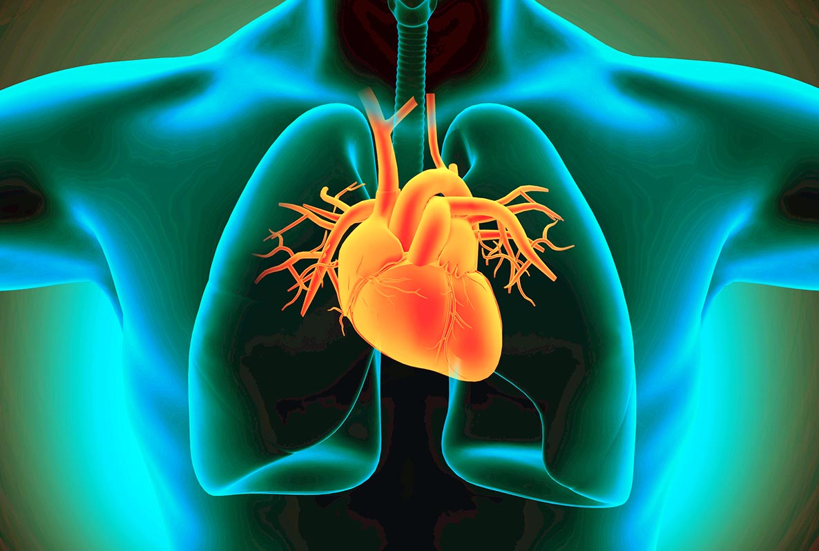 Wie die Kardiologie in wenigen Jahrzehnten vom reinen Hörrohr zur digitalen Hochleistungsmedizin wurde.

kardiologie-baden-baden.de/presseinfos/vo…