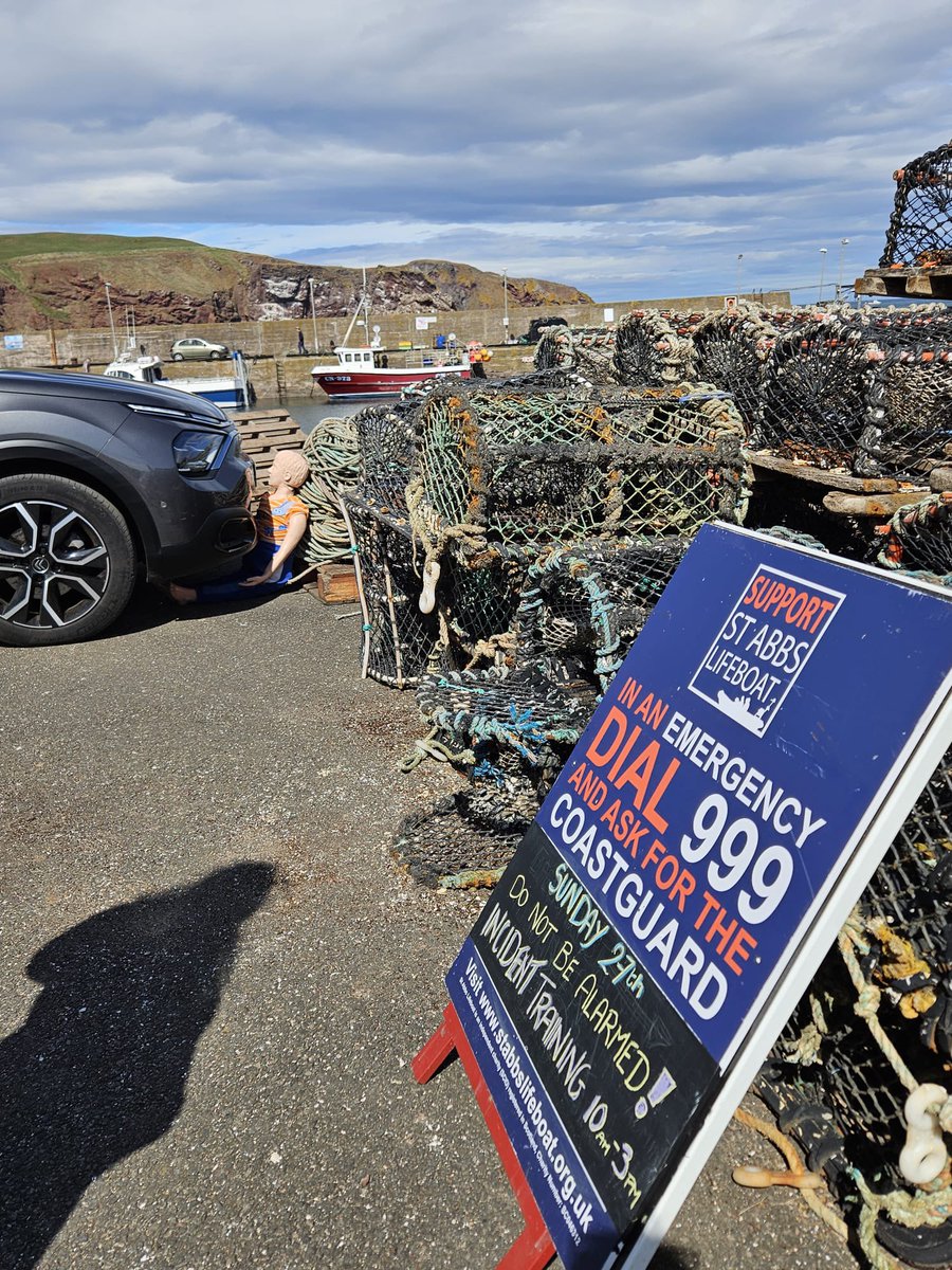 Daryl Whitehall tweet media