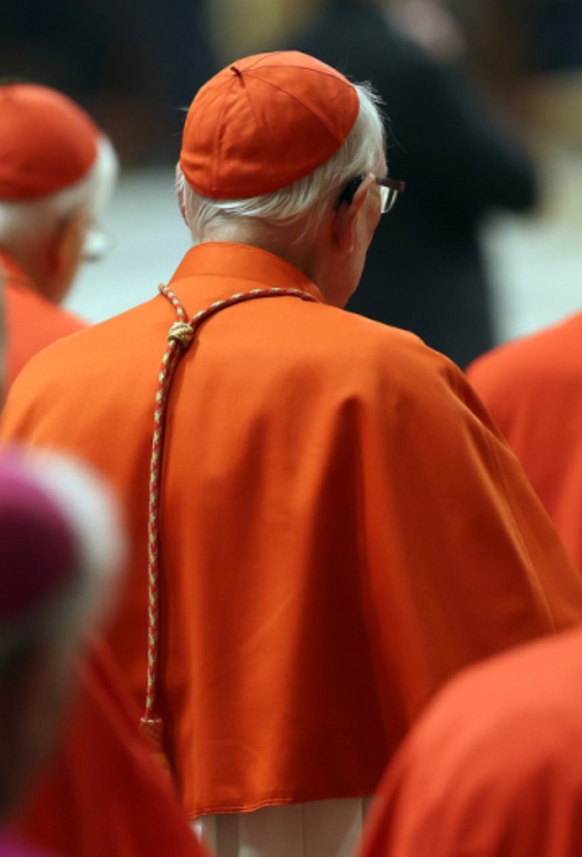 La oficina de Prensa de la Santa Sede reveló cómo fecha de inicio del cónclave el próximo 7 de mayo de 2025, para elegir al próximo Papa.  Los cardenales fijaron la fecha durante su congregación general este lunes 28 de abril.