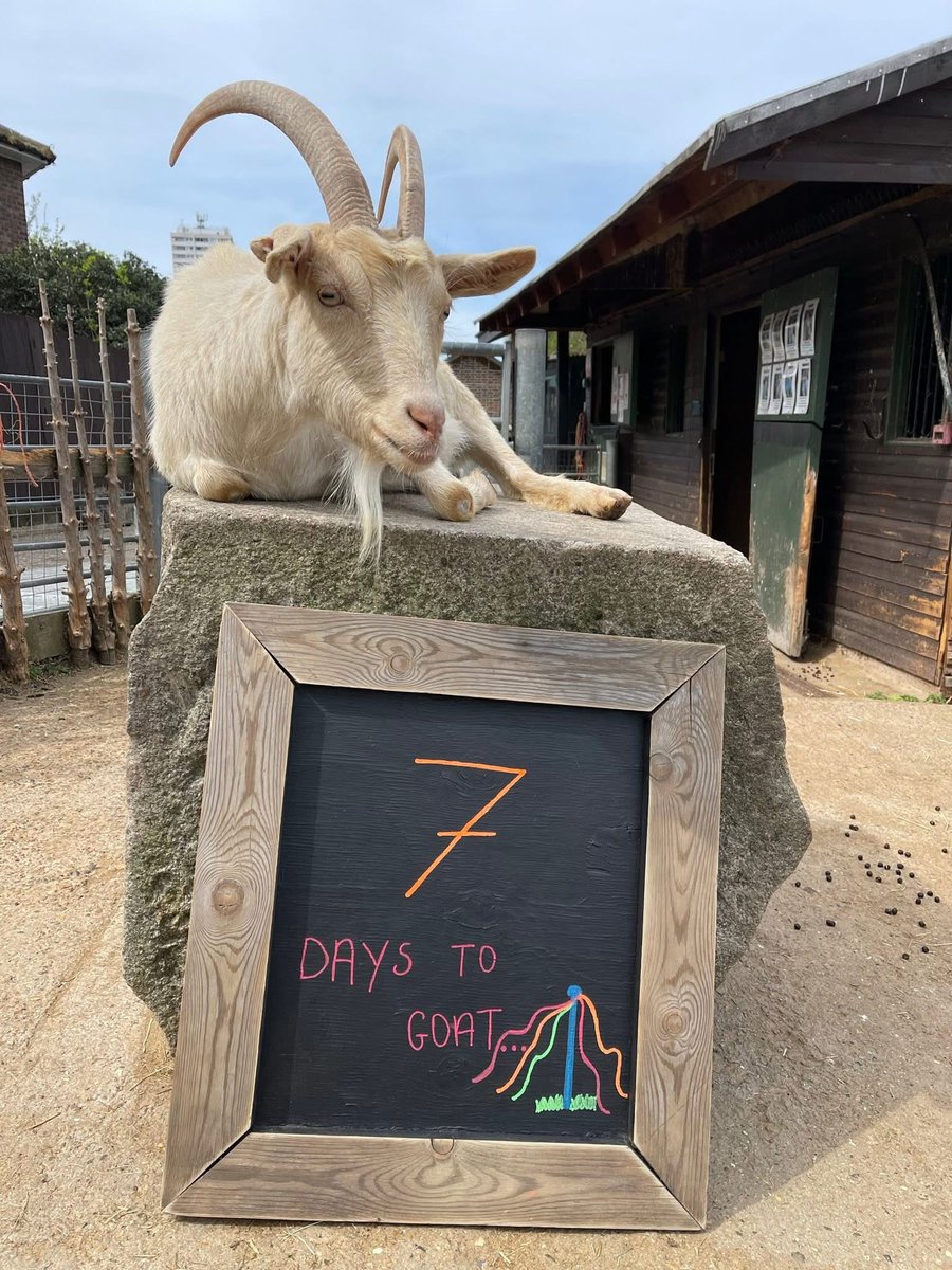 Kentish Town City Farm tweet media