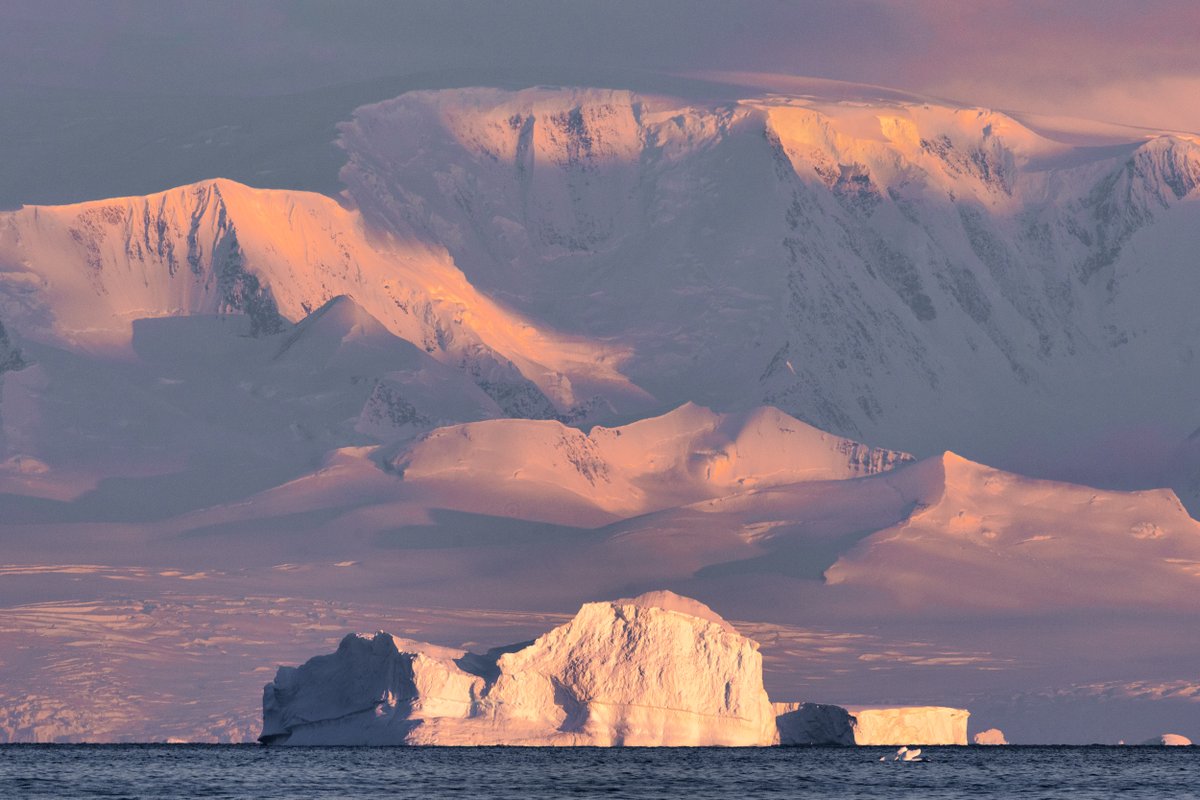 Richard Bernabe tweet media