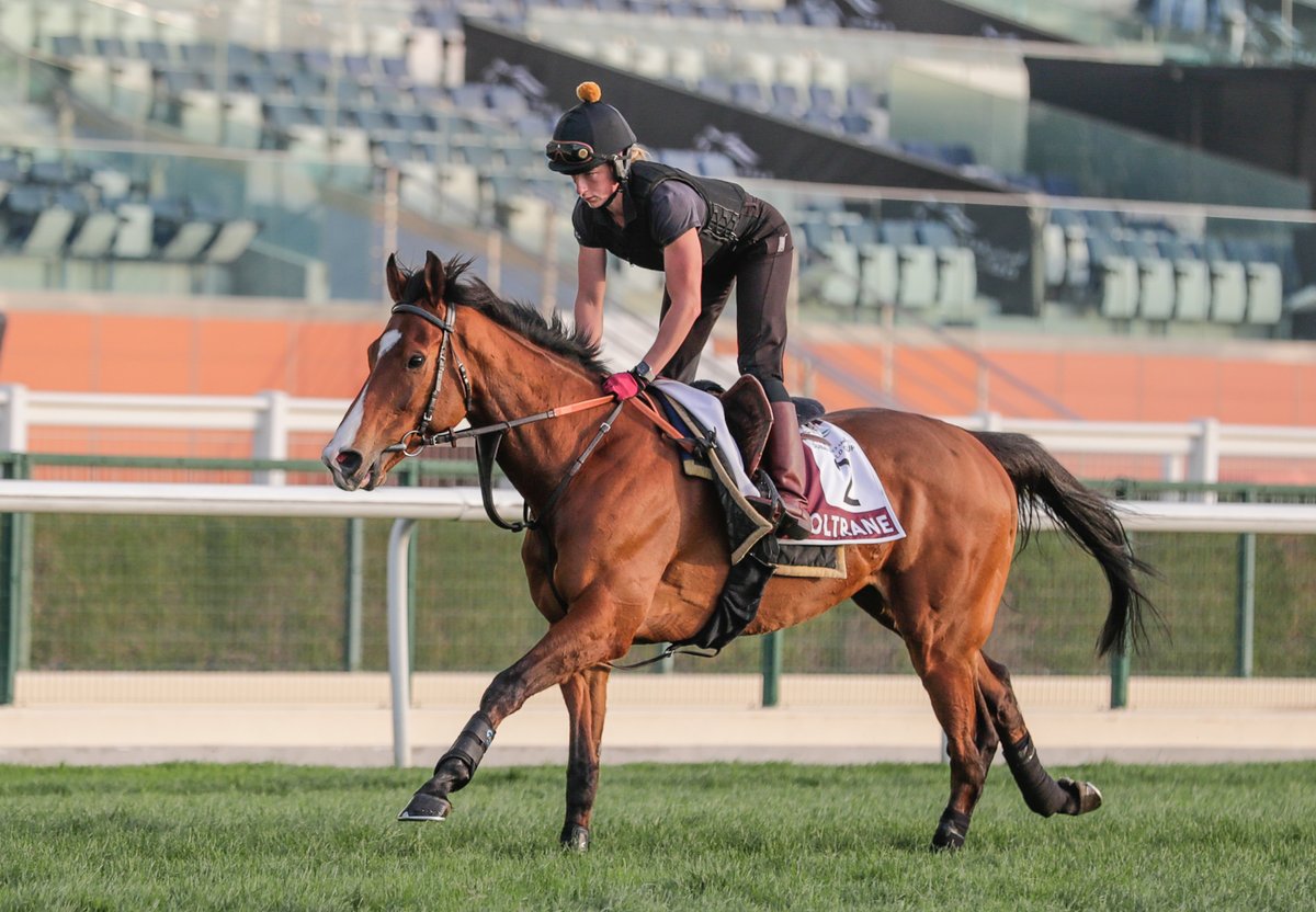 Dubai Racing Club (@racingdubai) on Twitter photo History for COLTRANE❓
<a href="/AndrewBalding2/">Andrew Balding</a>'s staying star aims for a third win in the G3 Sagaro Stakes <a href="/Ascot/">Ascot Racecourse</a> on Wednesday.
#DRCgrads History for COLTRANE❓
<a href="/AndrewBalding2/">Andrew Balding</a>'s staying star aims for a third win in the G3 Sagaro Stakes <a href="/Ascot/">Ascot Racecourse</a> on Wednesday.
#DRCgrads