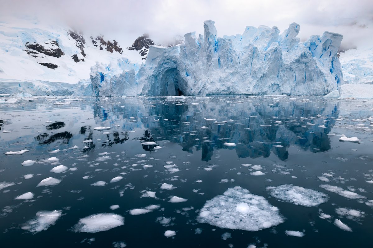 Richard Bernabe tweet media