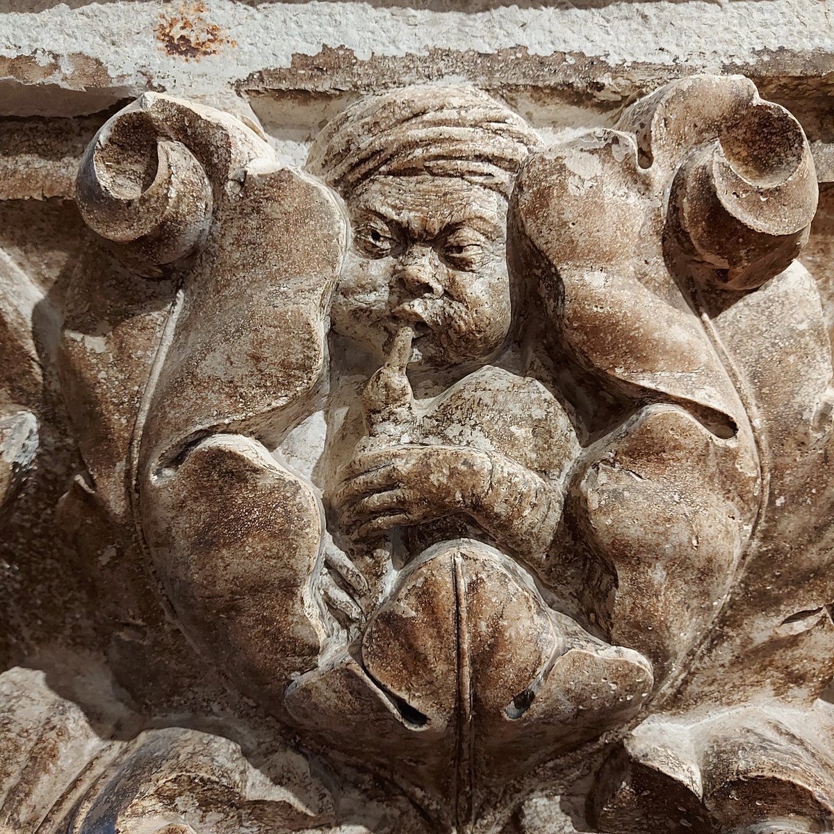 Xerses phus tweet media