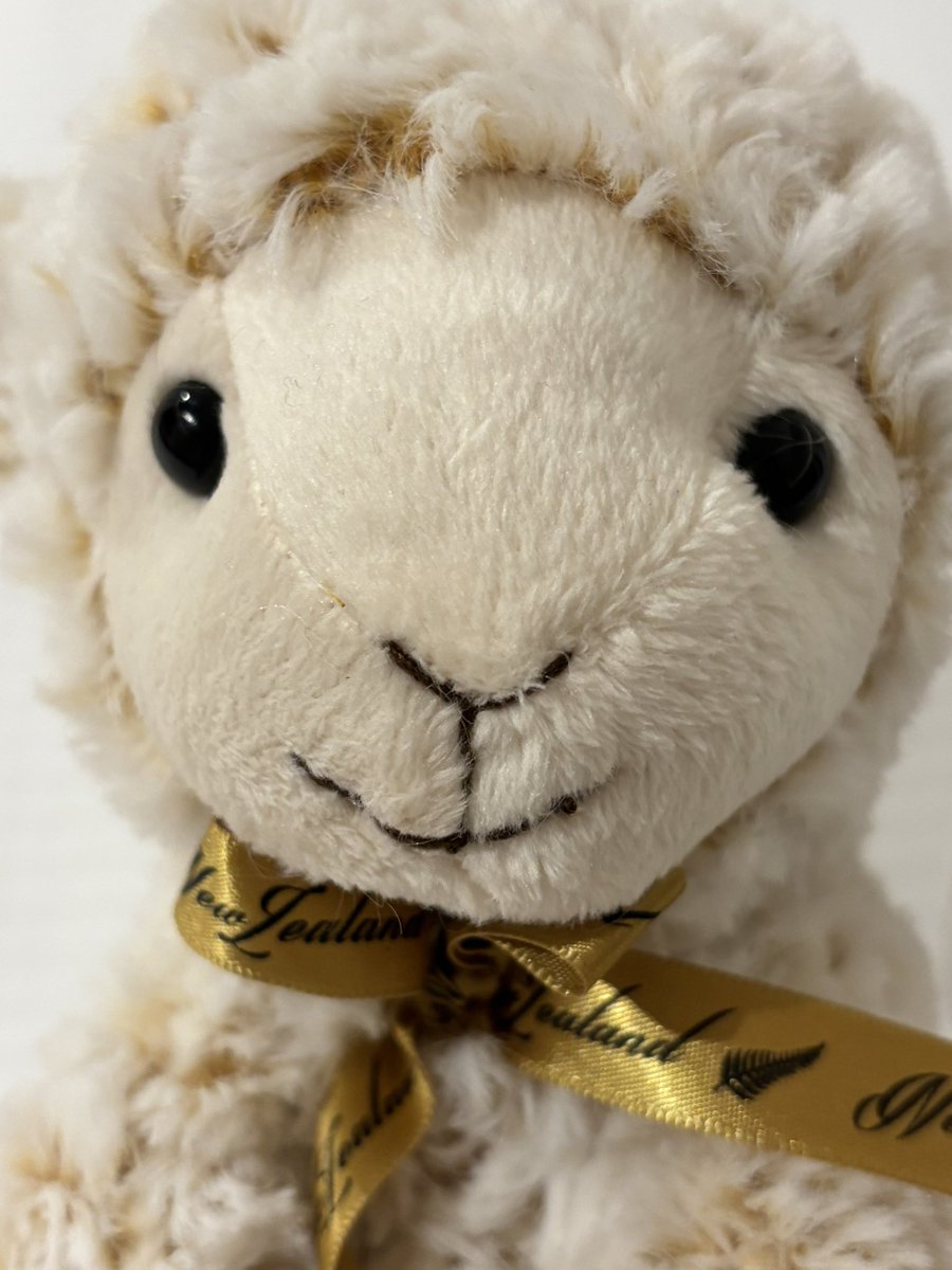 yuuki_0624's tweet image. ただいま～！🐑
ニュージーランドから帰ってきました✨

たくさんのファンの方とお話して、美味しいものを食べて、素敵な景色を見て、優しさに触れて…とっても楽しい時間でした！ありがとうオーバーロード！また行きたいなぁ😍✨

New Zealand has become even more of a favorite place. I want to…