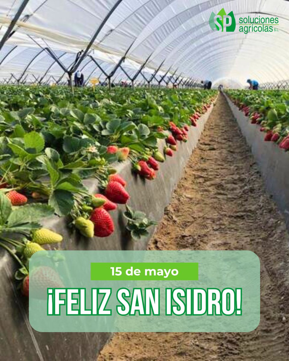 💚 Orgullosos de formar parte del #sectorPrimario onubense y de impulsar el trabajo de miles de #agricultores en favor de una #agriculturaSostenible 💪.

Feliz día de #SanIsidroLabrador.