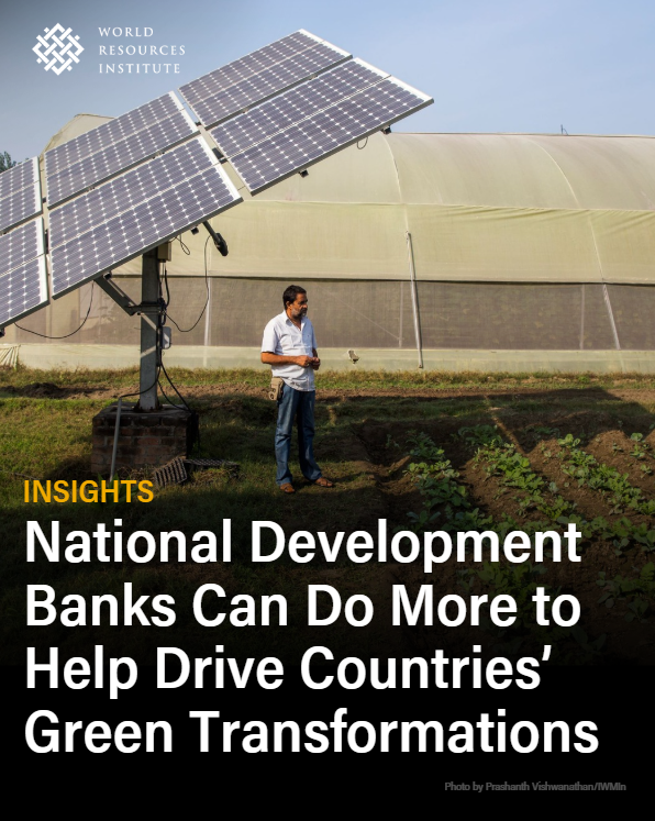 WRIClimate's tweet photo. What will it take to unleash the collective capabilities of the national development banks (NDBs) for #GreenTransitions?
@WRIFinance experts lay out key opportunities and highlight the #NDBs using innovative approaches to green financing 👉https://t.co/LsW8vh7ZmT https://t.co/Df6Zc5irQA