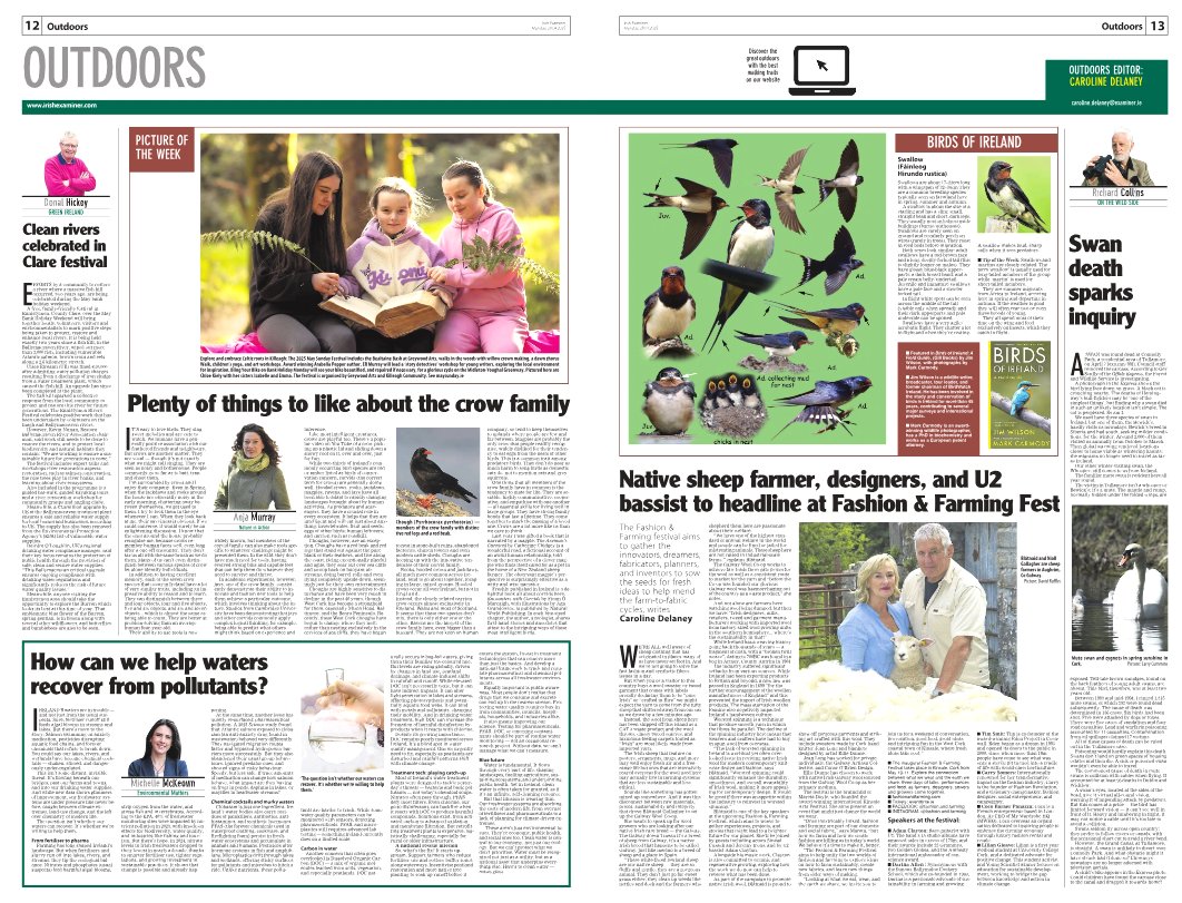 CarDelaney's tweet image. exa.mn/t7z
‣ Clare festival celebrates river restoration
‣ Fascinating crow family
‣ Swan death examined
‣ What&apos;s in our water?
‣ Fashion &amp;amp; farming festival in Kinsale
‣ 🐣Swallows
📷May Sunday Festival at Glenbower Woods @RushyMountain @palaeo_mich @MiseAnja