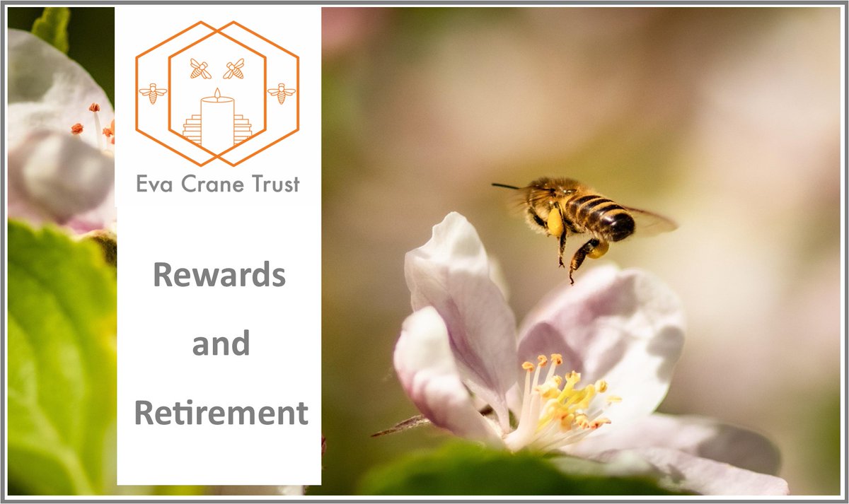 Latest news!  
A new round of exceptional bee research projects has been awarded funding
Plus, we have a new honorary member as a valued Trustee retires. 
🔗 View the full update on our website: bit.ly/2lgdJXk
 
#BeeResearch #EvaCraneTrust #bees #BeeScience