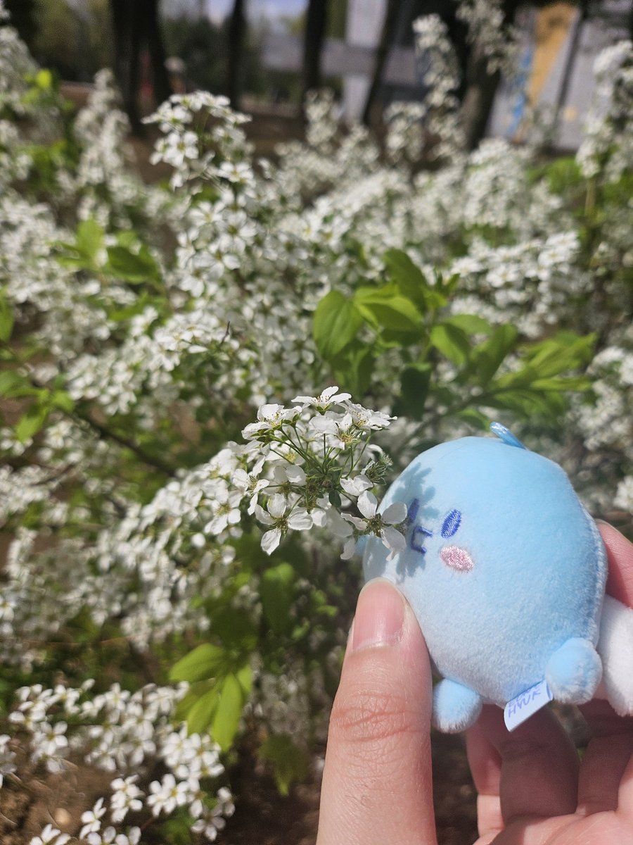 예만두 혁만두와 산책...((너희 이름이 뭐니
#예성 #은혁