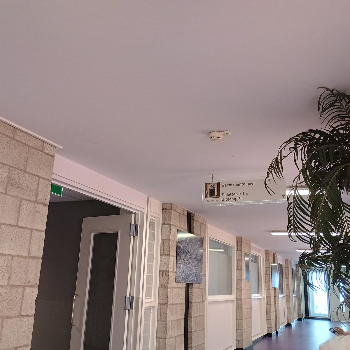 Dick_Havenaar's tweet image. #wachtkamertweet

gepland bezoek, CT-scan hart en kransslagaders...

in de scan om (om en nabij) 13.40 uur...

#AlbertSchweitzerZiekenhuisDordrecht #CT_scan