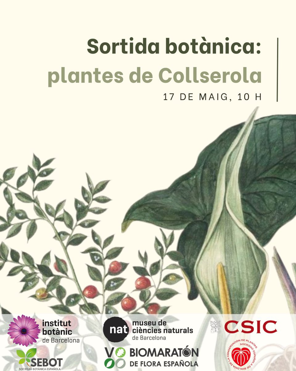 Institut Botànic de Barcelona (@ibb_botanic) on Twitter photo Viu la natura de prop aquesta primavera: apunta't a la V Biomarató de Flora (<a href="/biomaraton/">Biomaratón de Flora Española</a>)
Oferim dues rutes gratuïtes amb investigadors en botànica:
1️⃣ al Jardí Botànic, 15 de maig 🔗 bit.ly/4lPqtOX
2️⃣ a Collserola, 17 de maig 🔗 bit.ly/4d13gW8
T’hi esperem! Viu la natura de prop aquesta primavera: apunta't a la V Biomarató de Flora (<a href="/biomaraton/">Biomaratón de Flora Española</a>)
Oferim dues rutes gratuïtes amb investigadors en botànica:
1️⃣ al Jardí Botànic, 15 de maig 🔗 bit.ly/4lPqtOX
2️⃣ a Collserola, 17 de maig 🔗 bit.ly/4d13gW8
T’hi esperem!