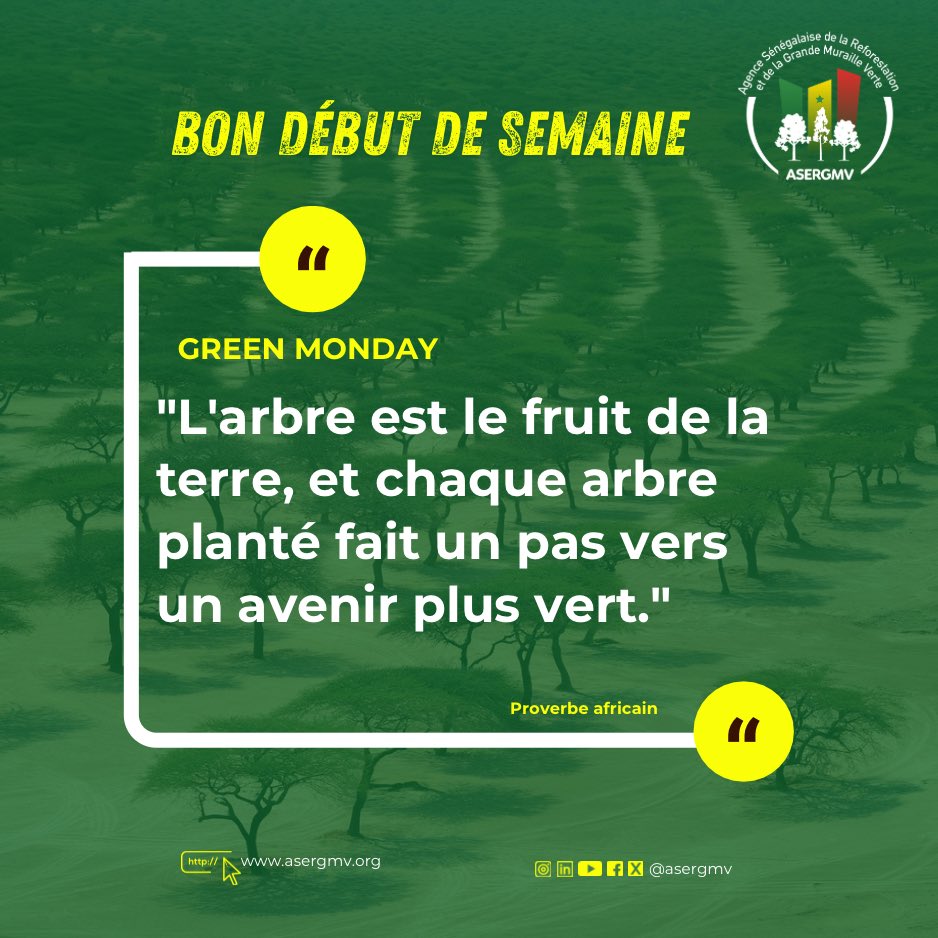 #GreenMonday

«L’arbre est le fruit de la terre, et chaque arbre planté faut un pas vers un avenir plus vert.» Proverbe africain 

#ASERGMV #dakar #senegal #GrandeMurailleVerte #environment #SemaineProductive #LundiMotivation