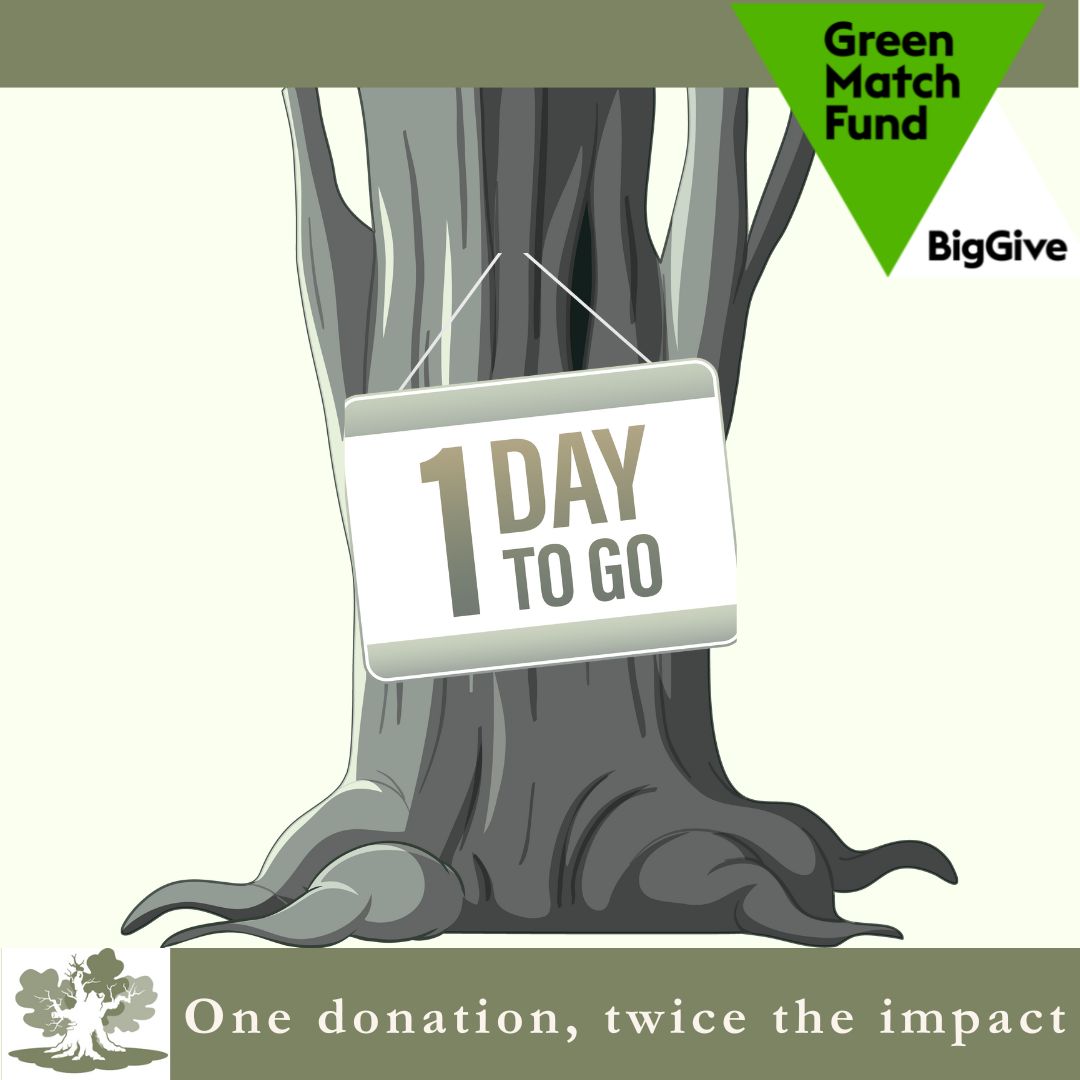 Big Give’s Green Match Fund. Thank you to those who have donated to the campaign. If you haven’t already donated, there are 24 hours remaining to have donation doubled: tinyurl.com/yznn5x5e
#GreenMatchFund